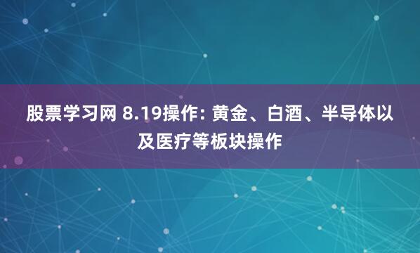 股票学习网 8.19操作: 黄金、白酒、半导体以及医疗等板块操作