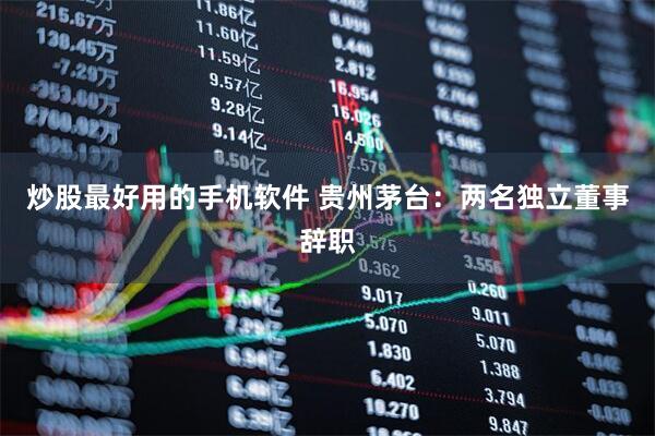 炒股最好用的手机软件 贵州茅台：两名独立董事辞职