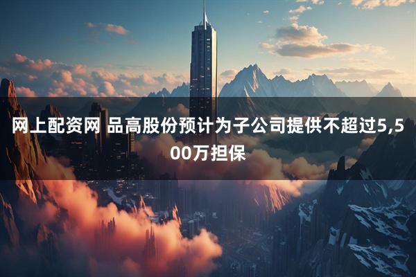 网上配资网 品高股份预计为子公司提供不超过5,500万担保