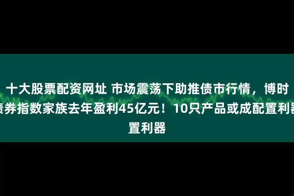 十大股票配资网址 市场震荡下助推债市行情，博时债券指数家族去年盈利45亿元！10只产品或成配置利器