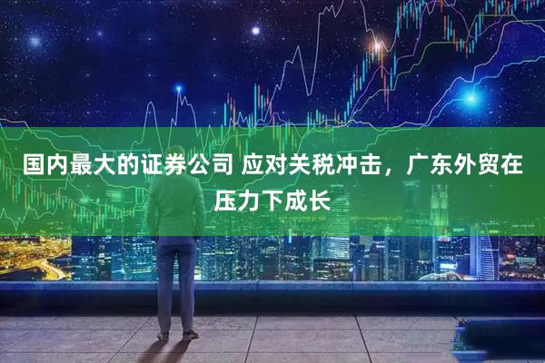 国内最大的证券公司 应对关税冲击，广东外贸在压力下成长