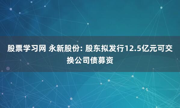 股票学习网 永新股份: 股东拟发行12.5亿元可交换公司债募资