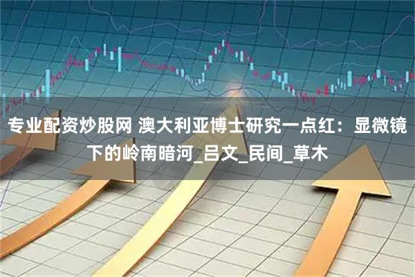 专业配资炒股网 澳大利亚博士研究一点红：显微镜下的岭南暗河_吕文_民间_草木