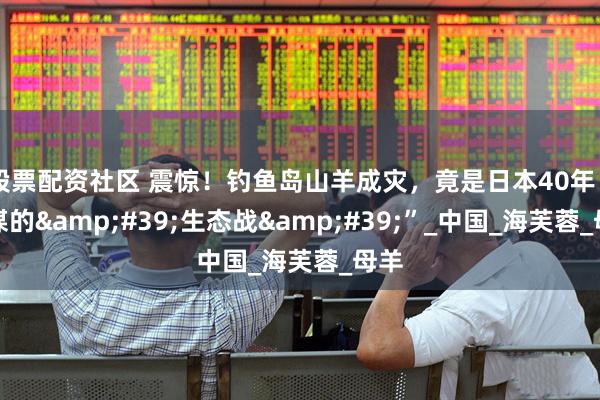 股票配资社区 震惊！钓鱼岛山羊成灾，竟是日本40年“蓄谋的&#39;生态战&#39;”_中国_海芙蓉_母羊