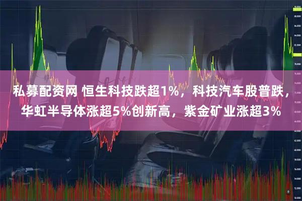 私募配资网 恒生科技跌超1%，科技汽车股普跌，华虹半导体涨超5%创新高，紫金矿业涨超3%