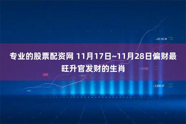 专业的股票配资网 11月17日~11月28日偏财最旺升官发财的生肖