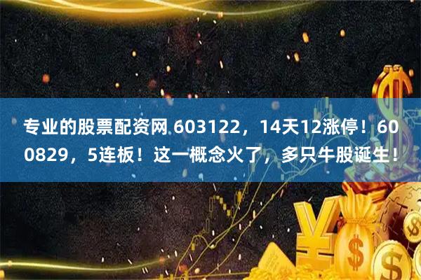 专业的股票配资网 603122，14天12涨停！600829，5连板！这一概念火了，多只牛股诞生！