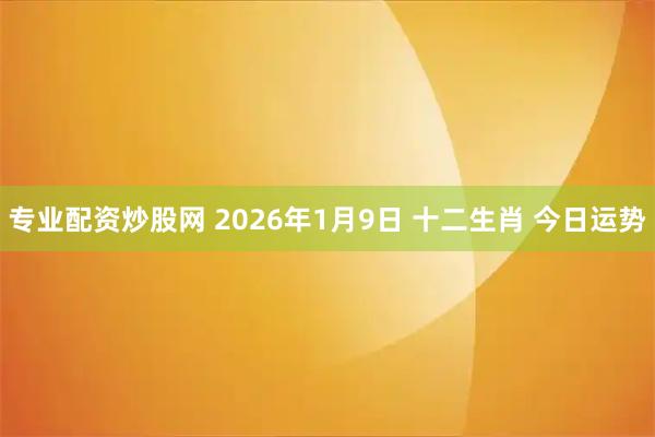 专业配资炒股网 2026年1月9日 十二生肖 今日运势