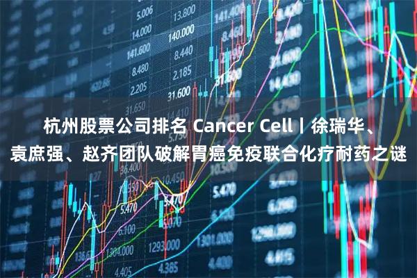 杭州股票公司排名 Cancer Cell丨徐瑞华、袁庶强、赵齐团队破解胃癌免疫联合化疗耐药之谜